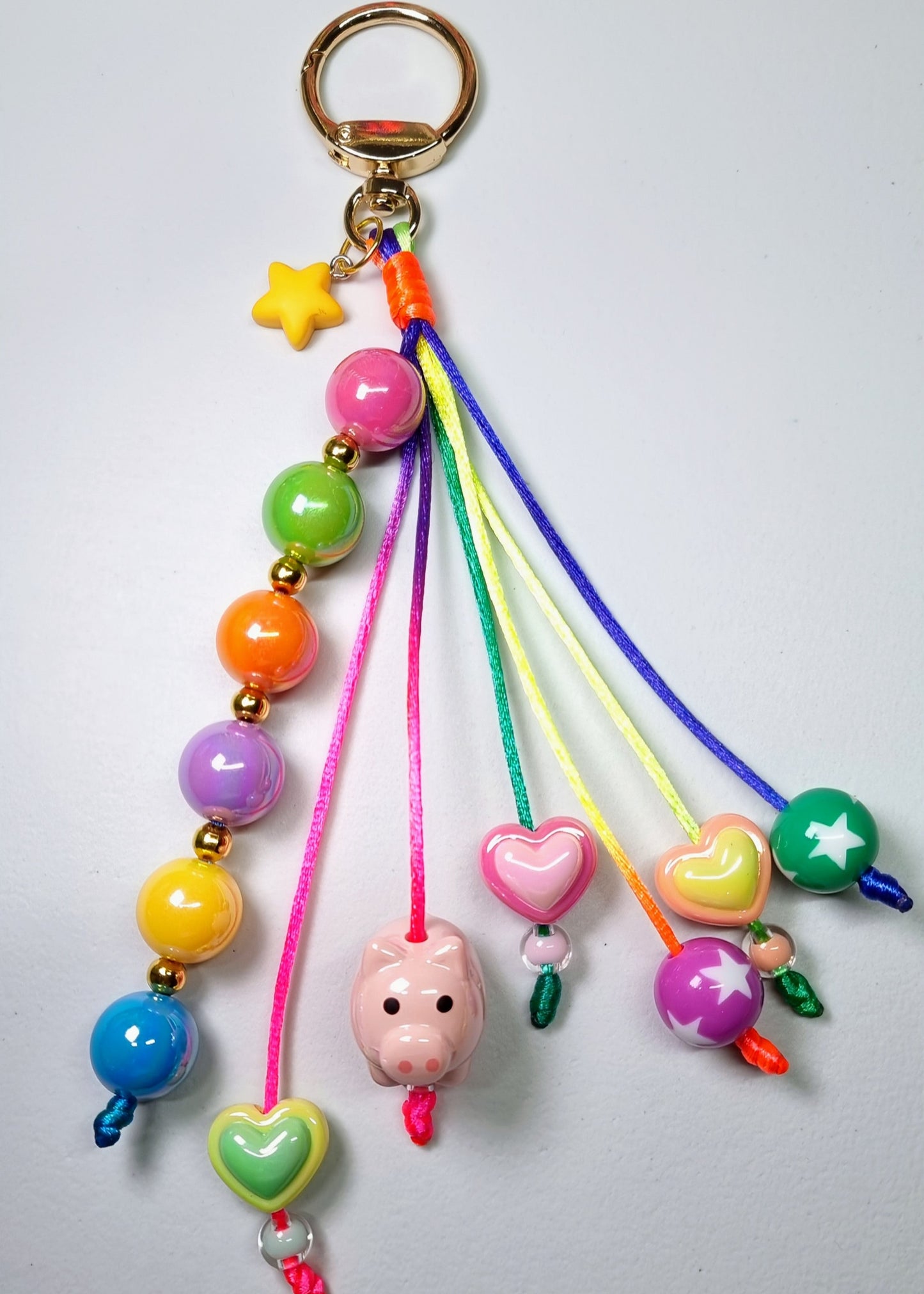 Rainbow Piggy BagCharm ππ·